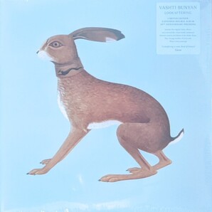 Vashti Bunyan ヴァシュティ・バニアン - Lookaftering (20th Anniversary Expanded Edition) 限定再発二枚組アナログ・レコード