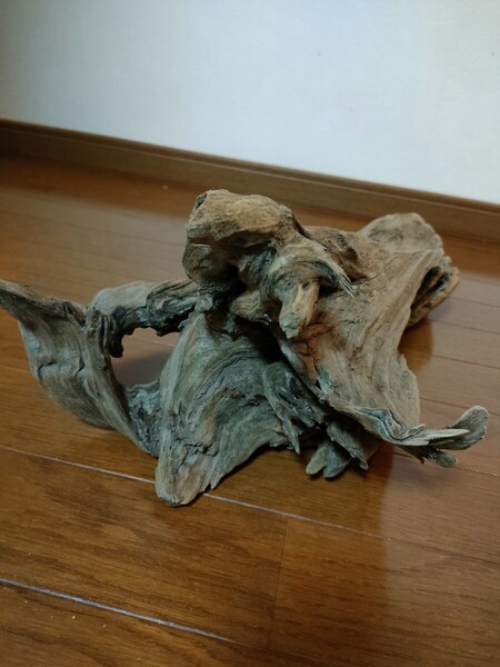 ☆天然流木 水槽 1点物 アクアリウム オブジェ アート 46×22.5×17cm 大和川 河口 爬虫類 めだか トカゲ ヘビ 老木 飾り