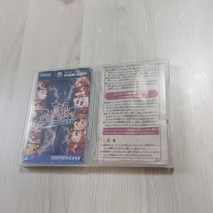 ●即決 GC 大乱闘スマッシュブラザーズDX ゼルダの伝説 風のタクト 何本でも同梱可能●
