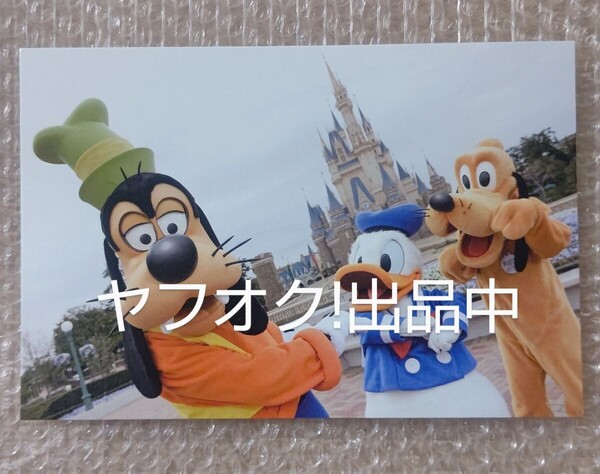 グーフィー ドナルド プルート ディズニー ポストカード TDR