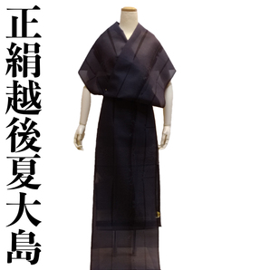 夏物 正絹夏大島小紋 ro162s お仕立て付き 墨黒地の結び紐縞文様柄 夏着物 新品 送料込み