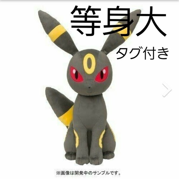 等身大 ブラッキー ぬいぐるみ ポケモンセンター