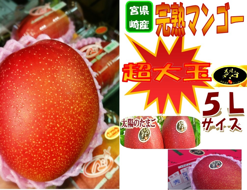 2025年最新】Yahoo!オークション - マンゴー(果物 野菜、果物)の