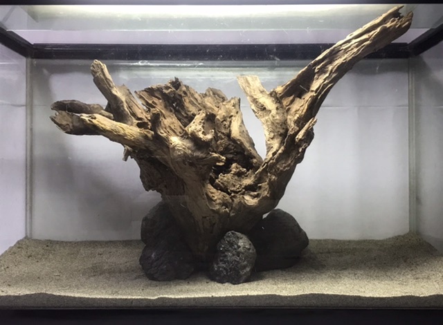 Yahoo!オークション -「流木」(水槽装飾品) (魚、水草)の落札