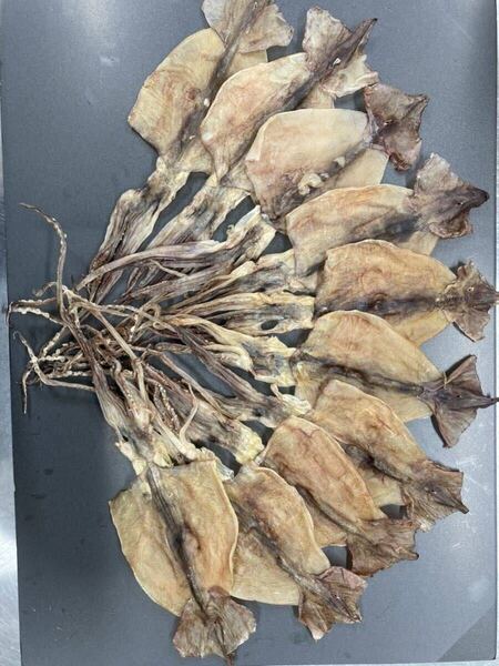 数量限定 10枚入 約300g〜350g 国内産干しスルメイカ 珍味 おつまみ 魚介類 干物 ジャーキー あたりめ 焼酎 日本酒 ビール ①