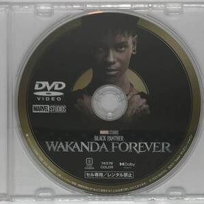 即決★ブラックパンサー ワカンダ・フォーエバー DVDのみ★MovieNEX 国内正規品 MARVEL MCU 映画