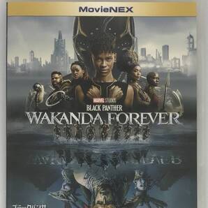 即決★ブラックパンサー ワカンダ・フォーエバー Blu-ray+純正ケースのみ★MovieNEX 国内正規品 MARVEL MCU 映画