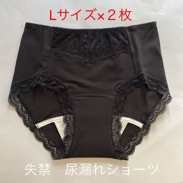 2枚組 L 尿漏れパンツ 20cc 失禁ショーツ 軽失禁 クロ 安心ショーツ 女性用 失禁パンツ レディース 婦人用