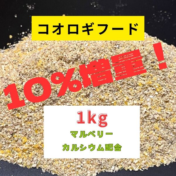 コオロギフード1kg レッドローチにもどうぞ!マルベリーカルシウム配合