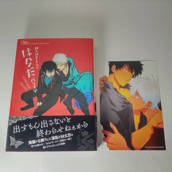 同人誌セレクション はらだ パライソ 東京漫画社 帯付イラストカード付
