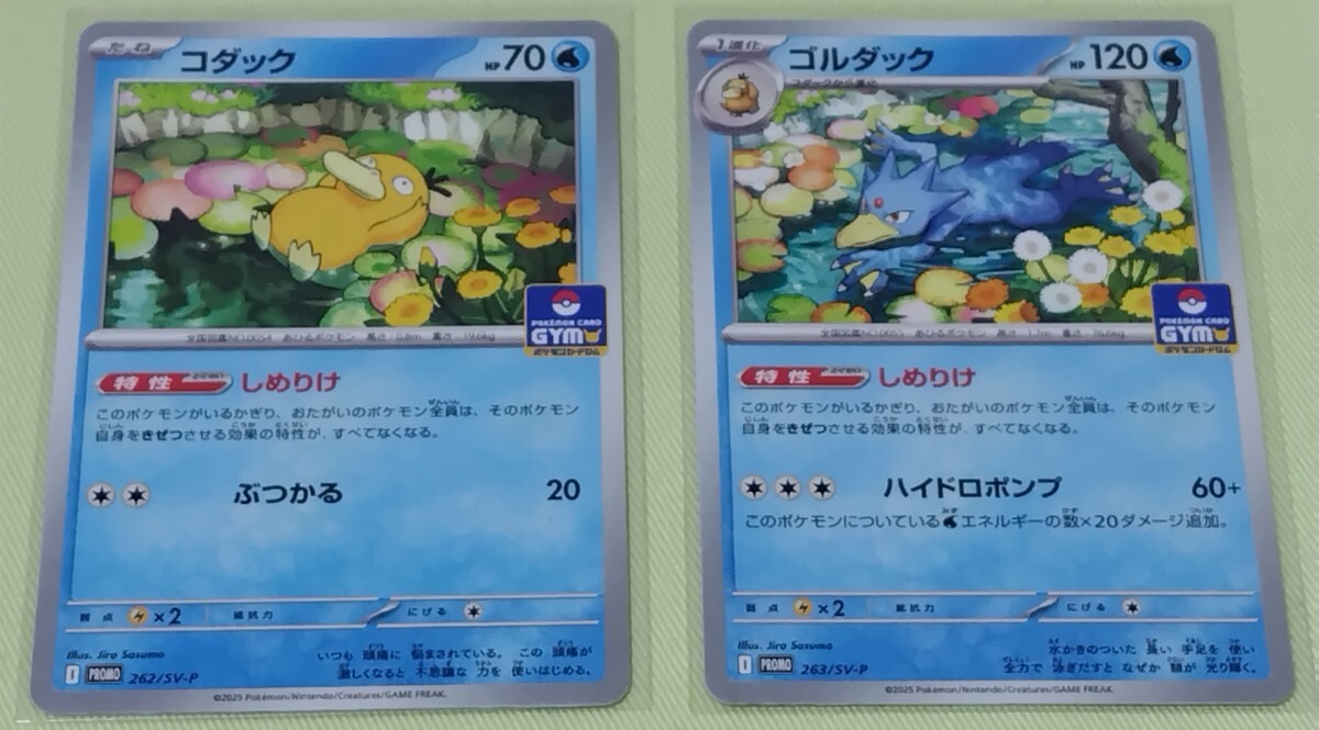 まとめ売り】ポケモンカード コダック ゴルダック 進化セット計