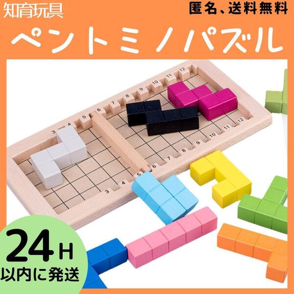 ペントミノパズル 型はめ カタミノ テトリス モンテッソーリ 知育玩具 木製 教育 保育園 パズル 木のおもちゃ ブロック 療育 脳トレ 子供