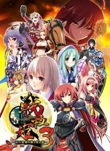戦極姫3~天下を切り裂く光と影~ (通常版) - PSP(中古 未使用品) (shin