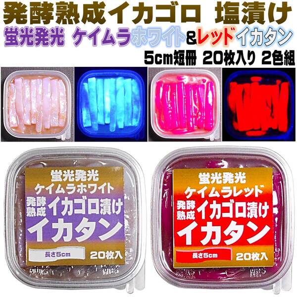 釣り餌用 アミノ酸 イカゴロ漬け 蛍光発光 ケイムラクリアホワイト&レッド イカタン 塩漬け 長さ約5cm 各20枚入 2色組 海上釣堀 エサ