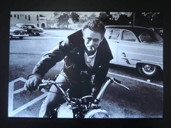 A4 額付き ポスター ジェームズディーン James Dean ジェームスディーン Triumph バイク 革ジャン