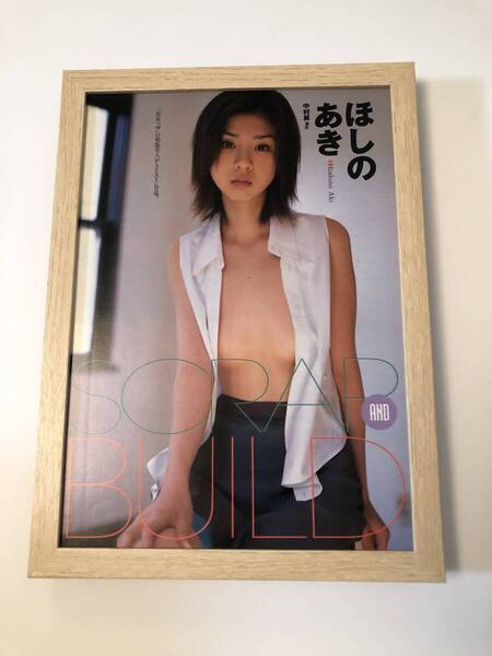 kj ★額装品 ★ ほしのあき グラビア ノーブラ B5サイズ額入り ポスター風デザイン 貴重写真 セクシー 女優 アイドル 下着 美乳