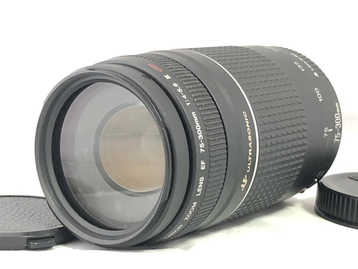 Yahoo!オークション -「ef 75-300mm f4-5.6 iii usm」の落札相場