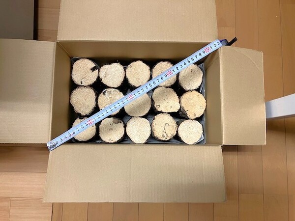 【川口商会 能勢産 厳選 クヌギ・コナラ飼育産卵木A品 NO1《15本入》