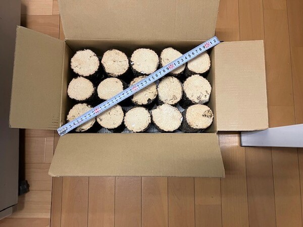 【川口商会】最高級ブランド三草クヌギ飼育産卵木A品 NO1《15本入》