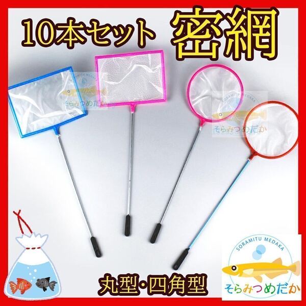 10本セット水槽網 密網 魚 掬う ミジンコ 金魚メダカ 熱帯魚 アクアリウム No240218
