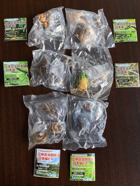 新品 立体昆虫顔面図鑑 マグネット 6種 シークレット リアル フィギュア オオスズメバチ カイコ アブラゼミ トノサマバッタ 海野和男