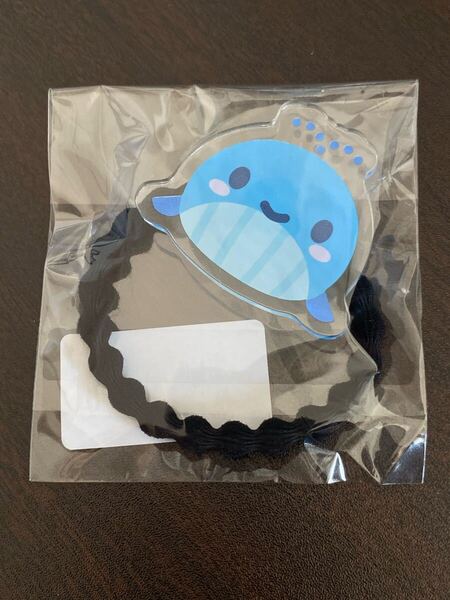新品 ラッフルくじ アナタシア アクリルヘアゴム まりん ANATASHIA ONEMAN LIVE【 Nextage 】開催記念 ワンマンライブ グッズ くじ