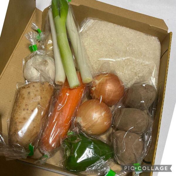 各種お野菜と米500gのスペシャルセット
