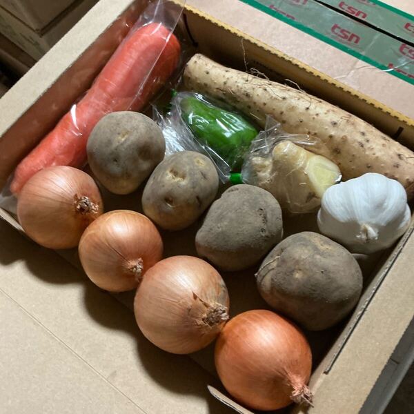 野菜詰め合わせ!じゃがいも玉ねぎにんじん長芋ピーマン生姜ニンニク