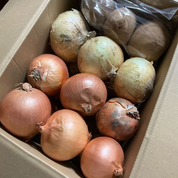 野菜セット!野菜詰め合わせ!80サイズ!新じゃがいも新玉ねぎ長芋玉ねぎ