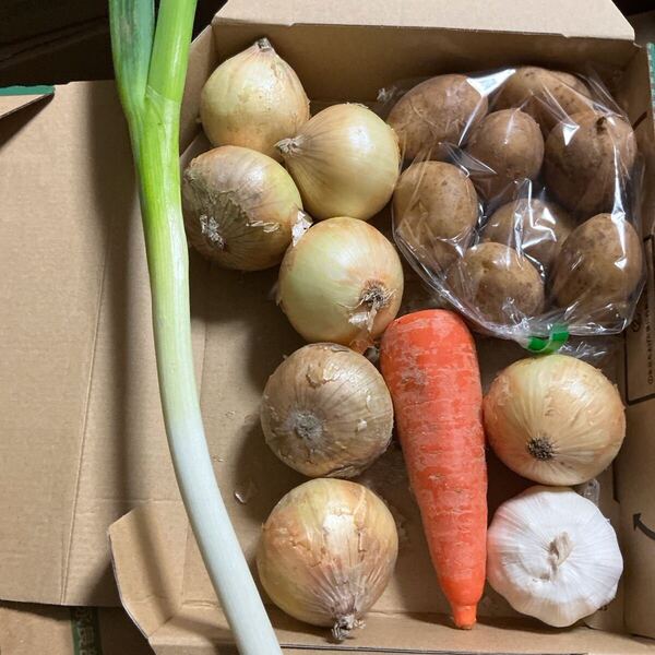 野菜詰め合わせ!じゃがいも玉ねぎにんじんニンニクねぎ