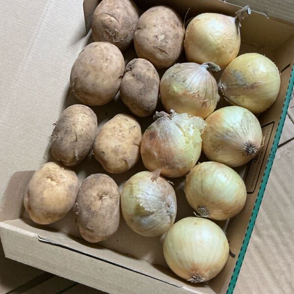 野菜詰め合わせ!新じゃがいも!新玉ねぎ使い切りサイズ!