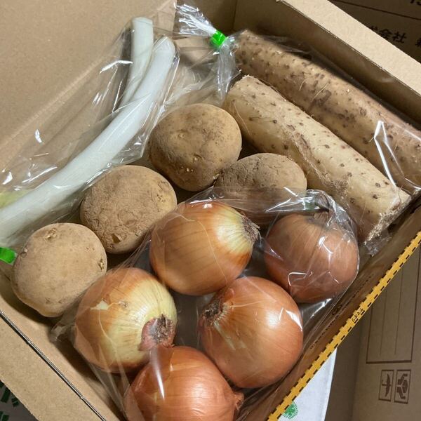 野菜詰め合わせ!じゃがいも玉ねぎ長芋ネギ!スペシャルA