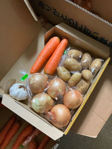 野菜詰め合わせ!新じゃがいも!玉ねぎにんじんニンニク