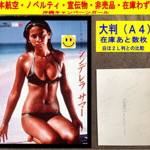 津島要 アイドル 写真 水着 日本航空 飛行機 ノベルティ 非売品 大判-1