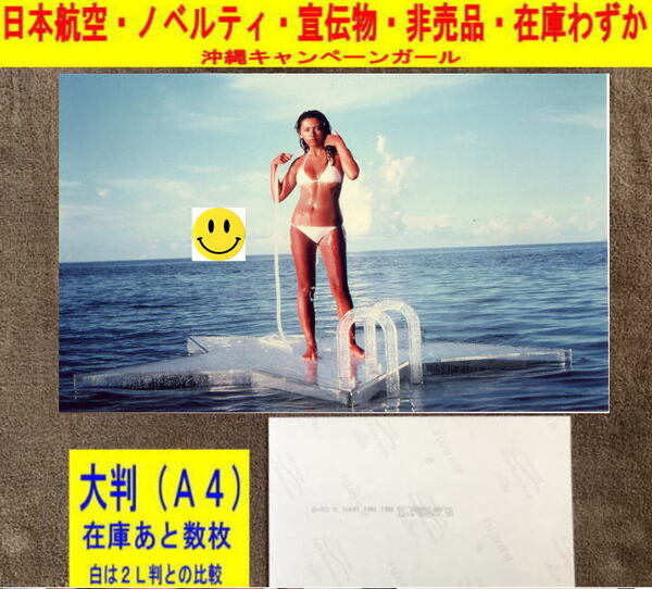 津島要 アイドル 写真 水着 日本航空 飛行機 ノベルティ 非売品 大判-3