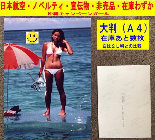 津島要 鳥越マリ アイドル 写真 水着 日本航空 飛行機 ノベルティ 非売品 大判3枚 おまとめ