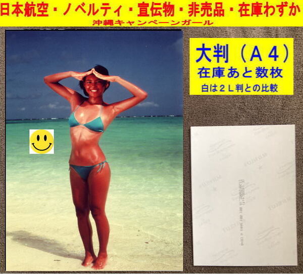 鳥越マリ アイドル 写真 水着 日本航空 飛行機 ノベルティ 非売品 大判=1