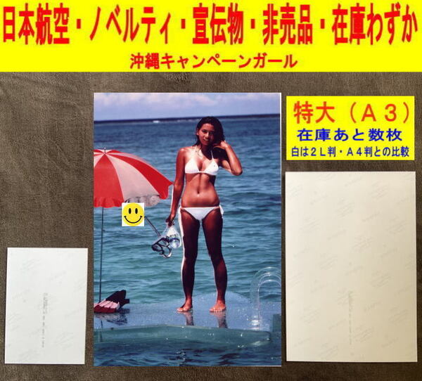 ★津島要 鳥越マリ アイドル 写真 水着 日本航空 飛行機 ノベルティ 非売品 ★特大2枚 大判3枚 おまとめ