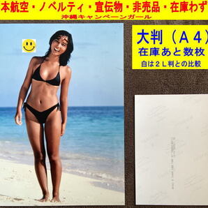 斉藤慶子 沖縄キャンペーンガール 写真 水着 日本航空 ノベルティ 宣伝物 非売品 1980年代 大判-3