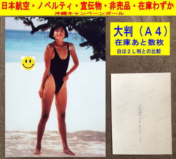 佐々木恵 アイドル 写真 水着 日本航空 飛行機 ノベルティ 非売品 大判-1