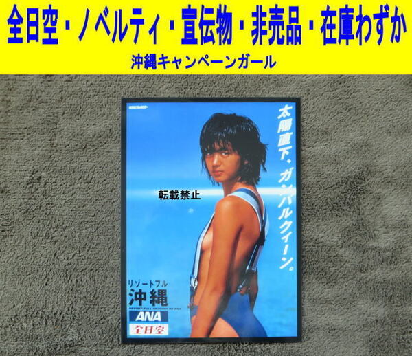 鷲尾いさ子 アイドル 写真 水着 全日空 飛行機 ノベルティ 非売品 2L-1