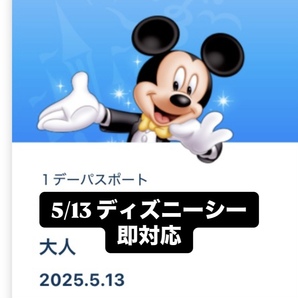 5/13 5月13日 ディズニーシー パルパルーザ ダッフィー ダッフィ カラフルハピネス チケット パスポート グッズ購入 グッズ購入用