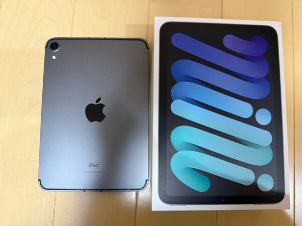 iPad mini 6 Wi-Fi + Cellular 64GB スペースグレー 97% 初期化済 ネットワーク利用制限なし