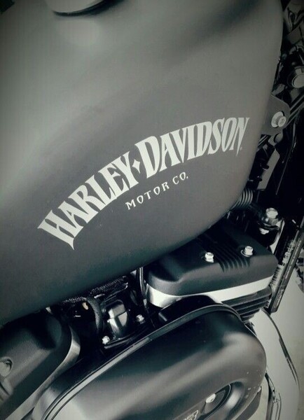 【送料無料!!】Harley-Davidson タンクステッカー デカール ホワイト ハーレーダビッドソン
