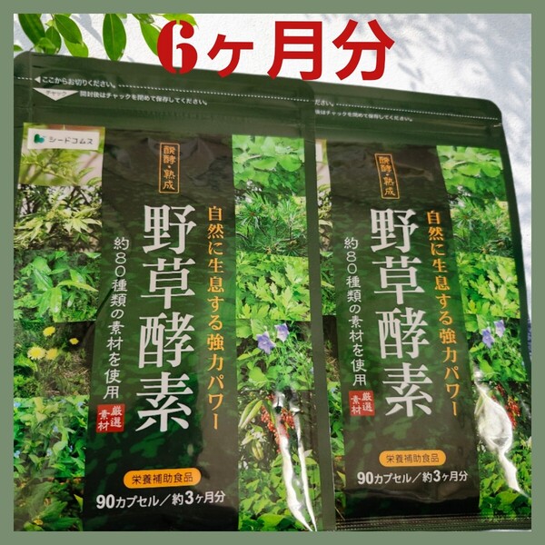 【2袋セット】野草酵素 生酵素 酵素 約6ヵ月分 180粒 ダイエットサプリ 酵素ダイエット シードコムス