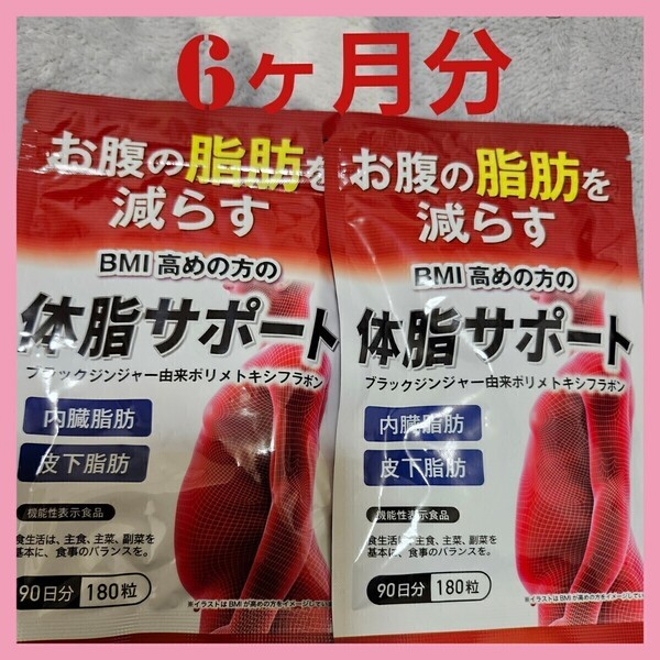 【2袋セット】180日分 体脂サポート お腹の脂肪を減らす サプリメント 機能性表示食品 ダイエットサプリ