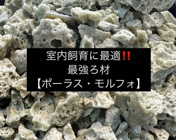室内飼育に最適最強ろ材【ポーラス・モルフォ】400g 送料無料 集中濾過 めだか 稚魚 針子 金魚 錦鯉