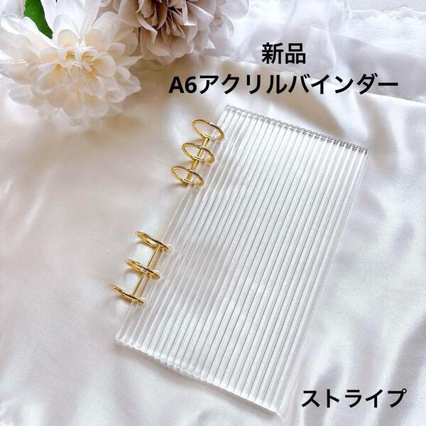 バインダー貯金 A6 アクリルバインダー saving 家計管理 ストライプ