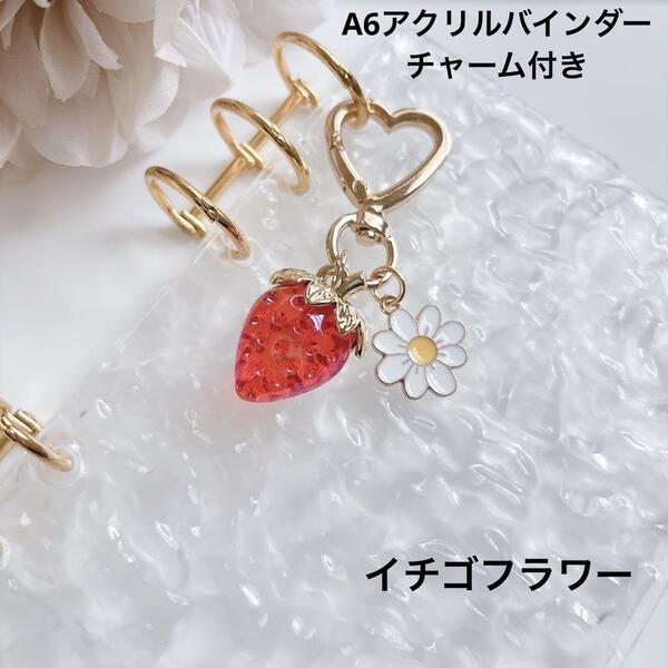 新品 アクリルバインダー A6 家計管理 韓国 バインダー貯金 saving *040 イチゴ フワラー