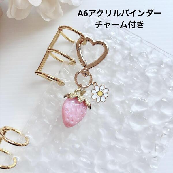 バインダー貯金 A6アクリルバインダー 韓国 saving 家計管理 イチゴ ピンク 推し活
